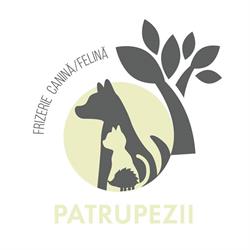 Frizerie Canina Patrupezii