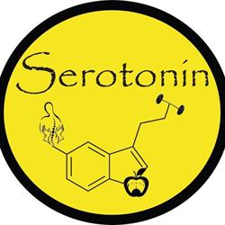 Serotonin Massage Therapy