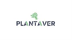 Plantaver