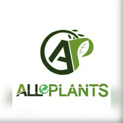 ALLe PLANTS Fito