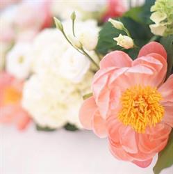 Florarie Eden