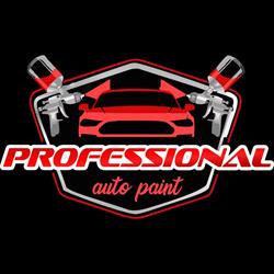 Professional Auto Paint SRL