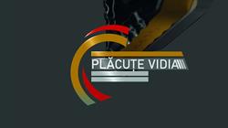 Metale Carbide S R L