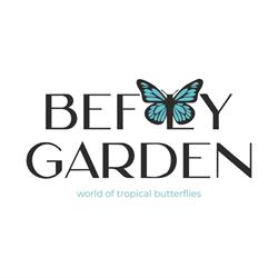 befly.ro