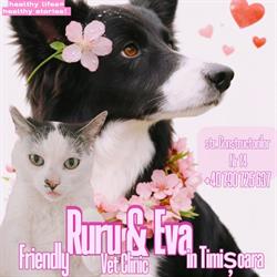 RuRu & Eva - Cabinet Veterinar