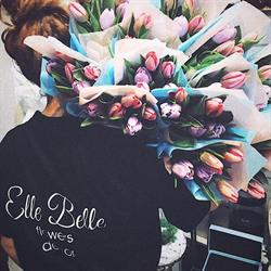 Elle Belle
