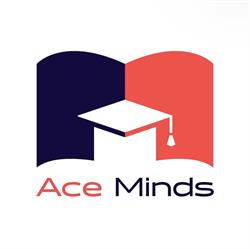 Ace Minds