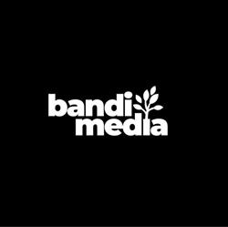 Bandi Media - Agenţie de Marketing