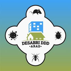 Desabri