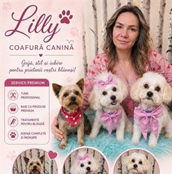 Coafura canina & Frizerie Lilly