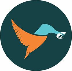 Magazin Kingfisher