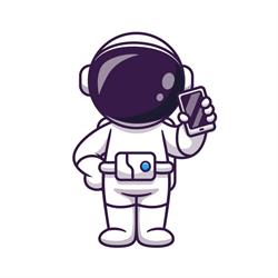 Space Mobile Service GSM Timisoara