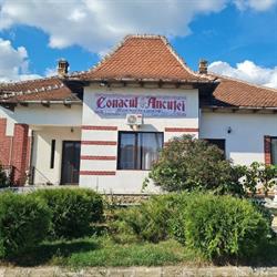 Conacul Ancuţei  (Conacul Ancuţei)