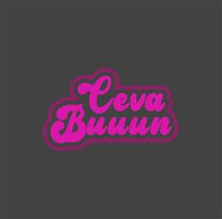 Ceva Buuun