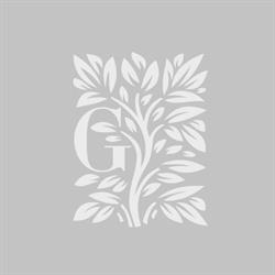 The Garden  (Park Events)