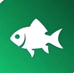 Fishing Mania Competition