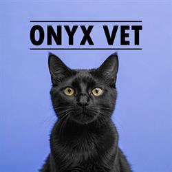 Onyx Vet - Cabinet Veterinar