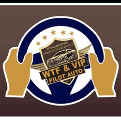 VIP PILOT AUTO