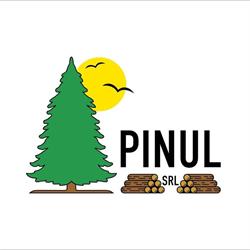 Depozit Lemn Foc/ Cherestea Pinul Jibou