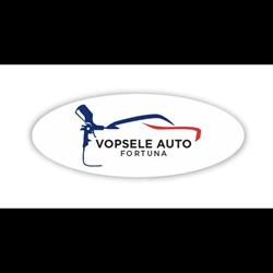 Vopsele Auto Fortuna Craiova