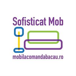 Mobilier Sofisticat