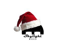 Skylight Media