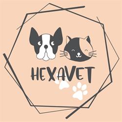 Hexavet Romania