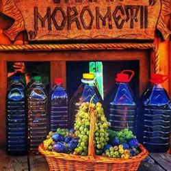 Crama Morometii