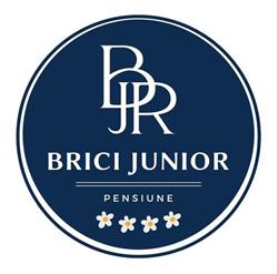 Pensiunea Brici Junior