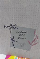 Gradinta Betel
