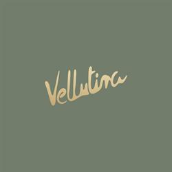 Vellutina