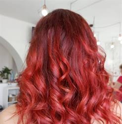 Friedmann Beauty Salon