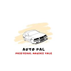 Piese si Accesorii Auto