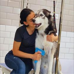 Pet Spa Shop&More