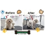 BELLA BEFORE SI AFTER