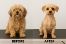PUFINICA BEFORE AND AFTER