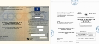 carte grise