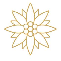 Florina Butean Skincare