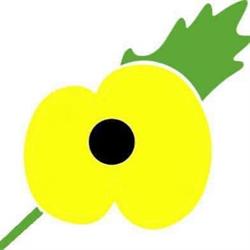 Yellow Poppy