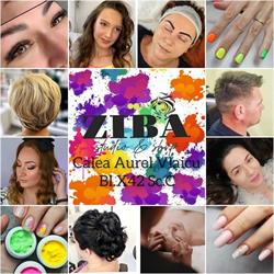 Ziba Studio & Shop