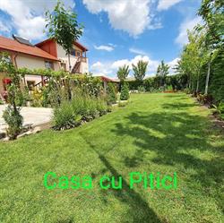 Casa cu Pitici