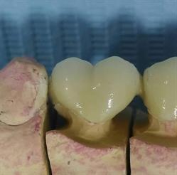 medicina dentara dr totok mihai