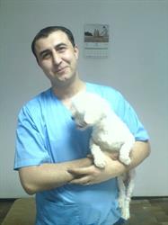 Cabinet Veterinar Buzau