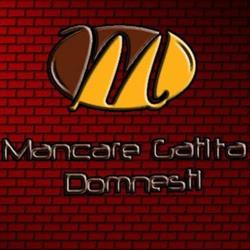 Mancare Gatita Domnesti IF