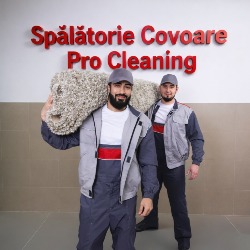 Spălătorie Covoare Timișoara - Pro Cleaning