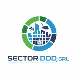 SECTORDDD