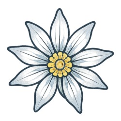 Eternya