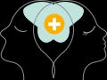 Brain Mapping