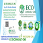 ECO Consult CNE