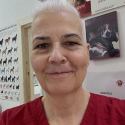Clinica Veterinară Bassy